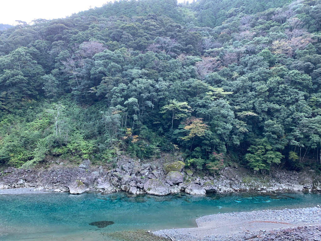 フェアフィールド三重おおだい　子連れ　宿泊記　大谷杉　登山　子供