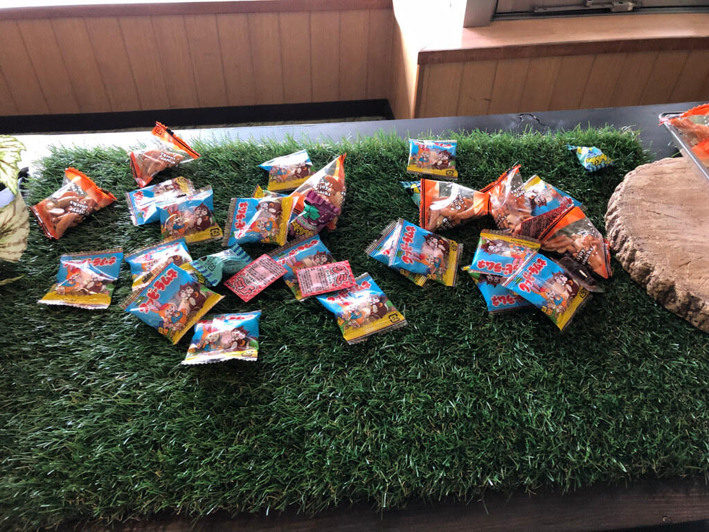 琵琶湖マリオット 宿泊記　ブログ　子連れ　体育館　朝食　　ラウンジ　マリオットボンヴォイアメックス　紹介　プラチナ特典　ゴールド特典　子供添い寝無料