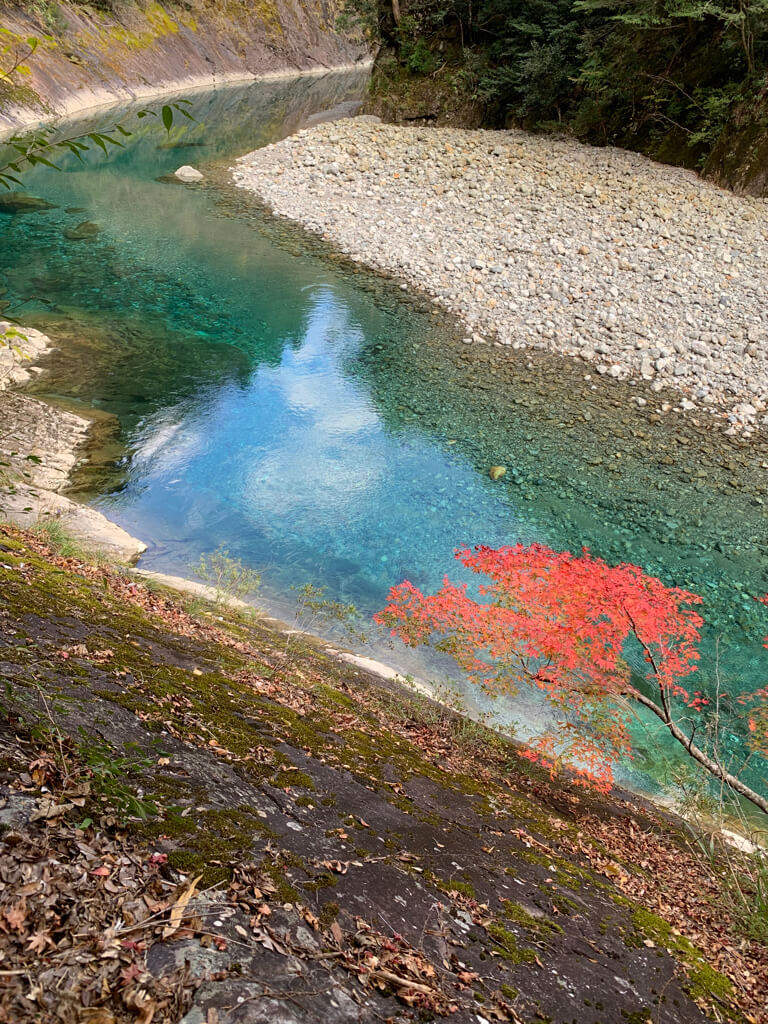 フェアフィールド三重おおだい　子連れ　宿泊記　大谷杉　登山　子供