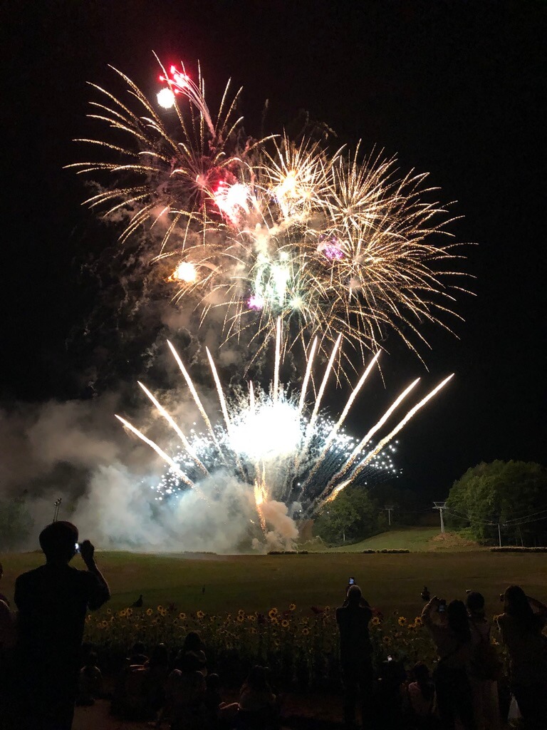 ウェスティンルスツ　宿泊記　ブログ　子連れ添い寝無料　朝食　ラウンジ　アクティビティ　花火　spgアメックス紹介　プラチナ特典　温泉　コインランドリー