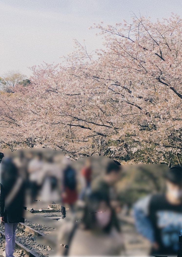 ウェスティン都ホテル京都　プラチナ　ブログ　子連れ　アップグレード　ジュニアスイート　アクセス　無料バス