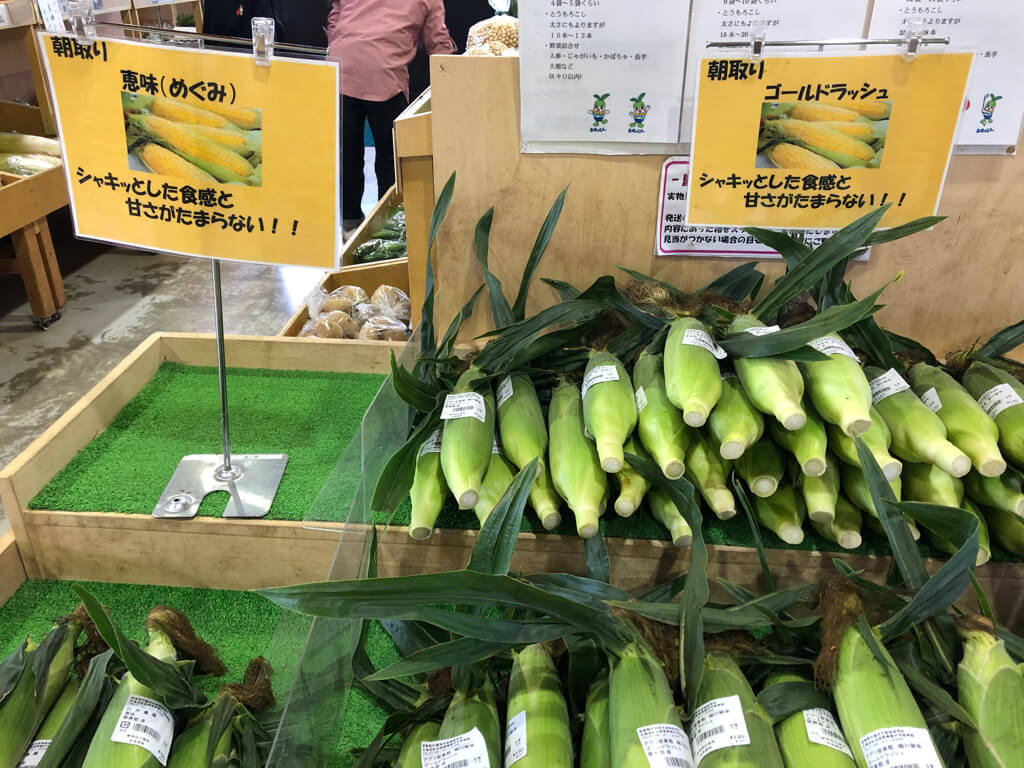 ウェスティンルスツ　宿泊記　ブログ　子連れ添い寝無料　朝食　ラウンジ　アクティビティ　花火　spgアメックス紹介　プラチナ特典　温泉　コインランドリー