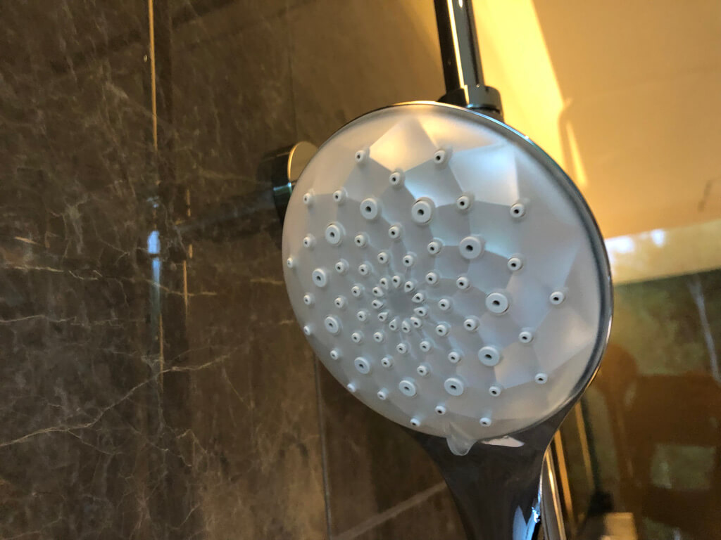 ニセコ東山ビレッジリッツカールトンリザーブ　子連れ　ブログ　宿泊記　プラチナ特典　朝食　アクティビティ　温泉　プール　マリオットボンヴォイアメックスプレミアム　紹介