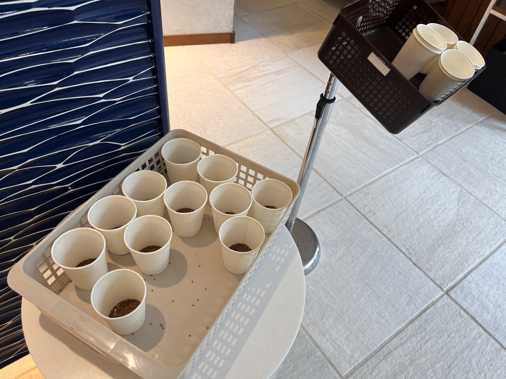 シェラトン沖縄サンマリーナリゾートお部屋・アクティビティ・プール編★沖縄が本気出したら抗えない♡夏を存分に楽しめるホテル 7 シェラトン沖縄サンマリーナリゾート 部屋 アクティビティ プール クチコミ プラチナ特典