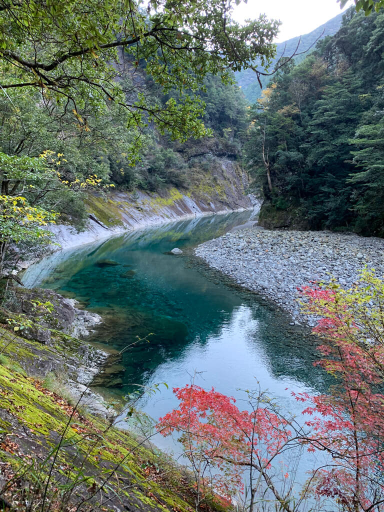 フェアフィールド三重おおだい　子連れ　宿泊記　大谷杉　登山　子供