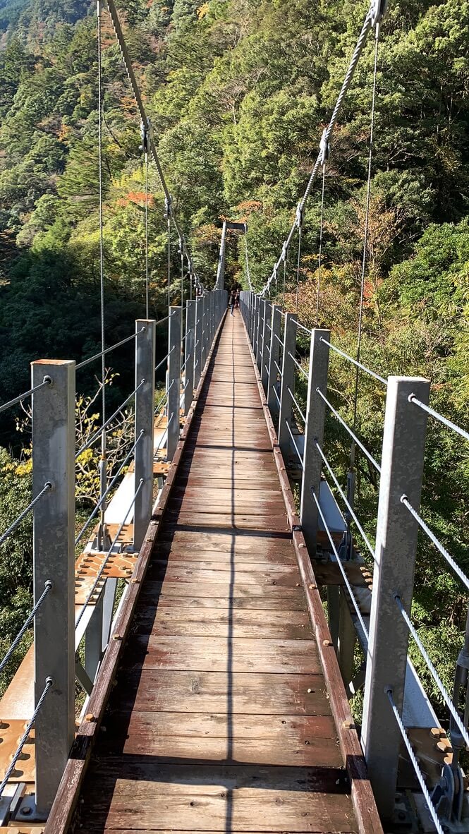 フェアフィールド三重おおだい　子連れ　宿泊記　大谷杉　登山　子供