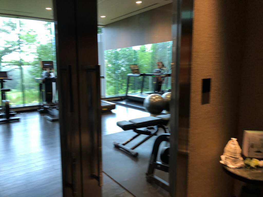 ニセコ東山ビレッジリッツカールトンリザーブ　子連れ　ブログ　宿泊記　プラチナ特典　朝食　アクティビティ　温泉　プール　マリオットボンヴォイアメックスプレミアム　紹介