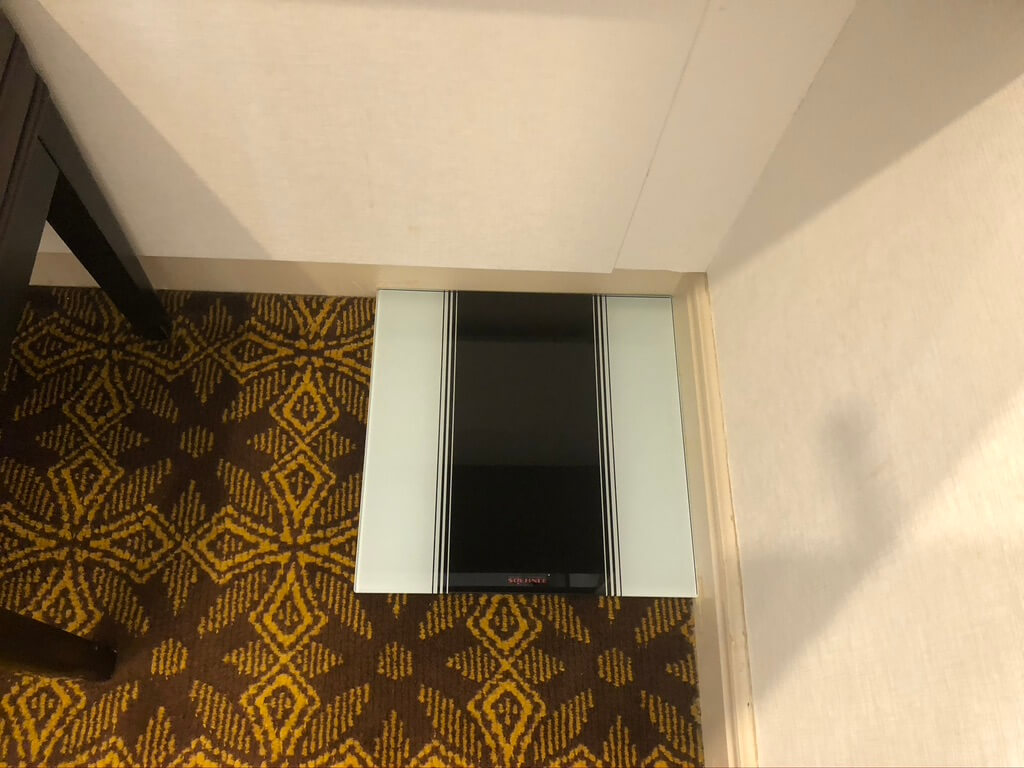 ウェスティン大阪　宿泊記　朝食　エグゼクティブラウンジ　アクセス　行き方　エグゼクティブキング　spgamex　プラチナ　特典