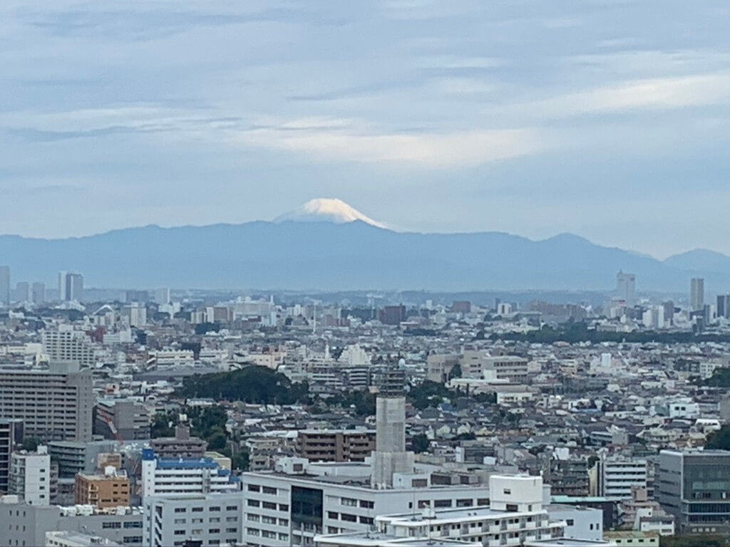 ウェスティンホテル東京　エグゼクティブルーム　宿泊記　アクセス 朝食　クラブラウンジ　フィットネスジム　コロナ　アメニティ　spgamex プラチナ特典　駐車場　子ども添い寝