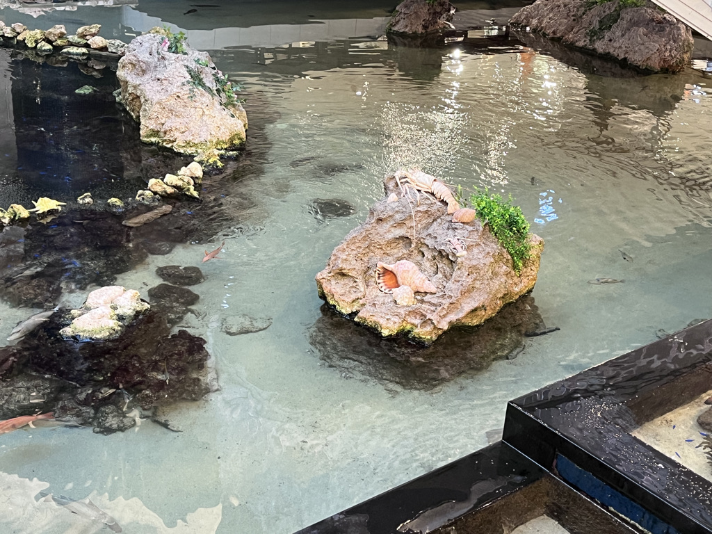 シェラトン沖縄サンマリーナリゾートお部屋・アクティビティ・プール編★沖縄が本気出したら抗えない♡夏を存分に楽しめるホテル 5 シェラトン沖縄サンマリーナリゾート 部屋 アクティビティ プール クチコミ プラチナ特典