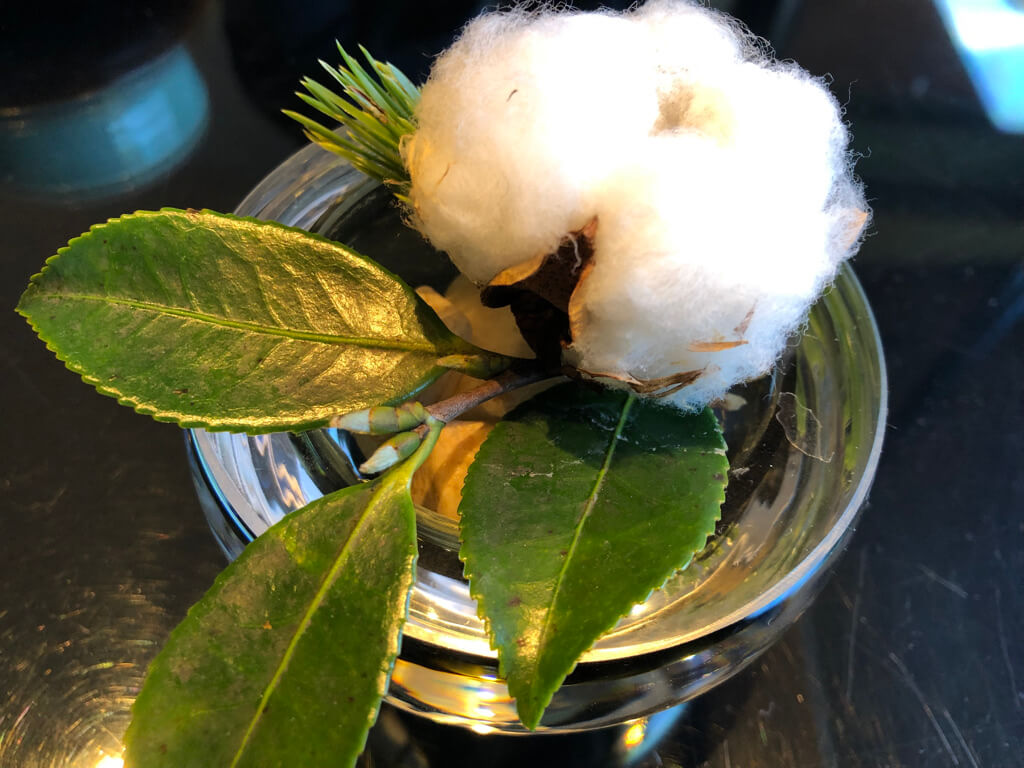 翠嵐ラグジュアリーコレクションホテル京都　記念日　宿泊記　ブログ　駐車場　朝食　プラチナ特典　人力車　シャンパンディライト　嵐山温泉　SPGアメックス　紹介