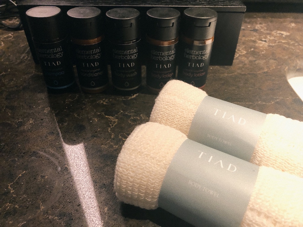 TIAD(ティアド)オートグラフコレクション宿泊記☆1ヶ月に3回泊まりたくなっちゃうほど居心地良く個性光るホテル 34 TIAD ティアド 宿泊記 プール ラウンジ 部屋 ブログ