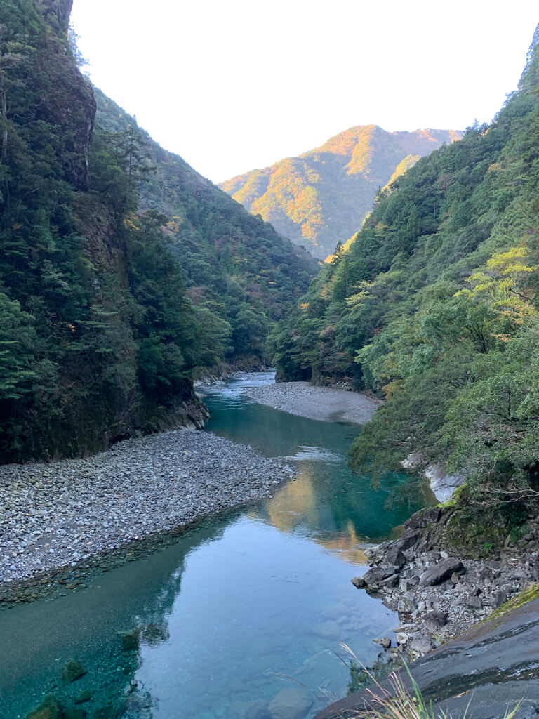 フェアフィールド三重おおだい　子連れ　宿泊記　大谷杉　登山　子供