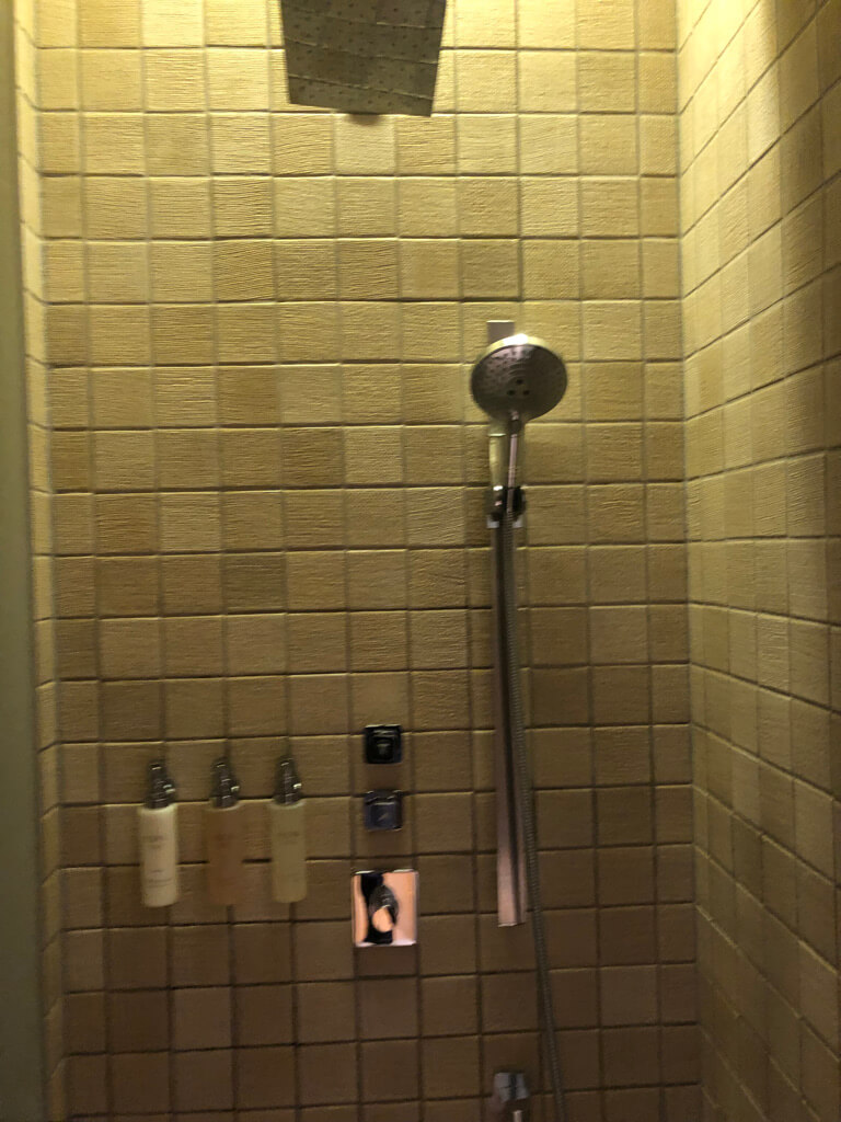 リッツカールトン京都　ブログ　ガーデンテラススイート　マリオットボンヴォイアメックス紹介　プラチナ特典　朝食　プール　アクティビティ　子供添い寝　アメニティ　ジム　駐車場　アクセス