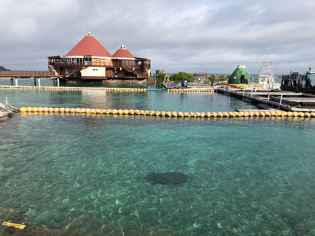 ルネッサンスリゾートオキナワ　クラブサビー　宿泊記　アクティビティ　体験　子連れ