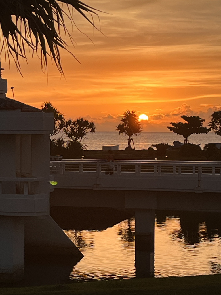 シェラトン沖縄サンマリーナリゾートお部屋・アクティビティ・プール編★沖縄が本気出したら抗えない♡夏を存分に楽しめるホテル 105 シェラトン沖縄サンマリーナリゾート 部屋 アクティビティ プール クチコミ プラチナ特典