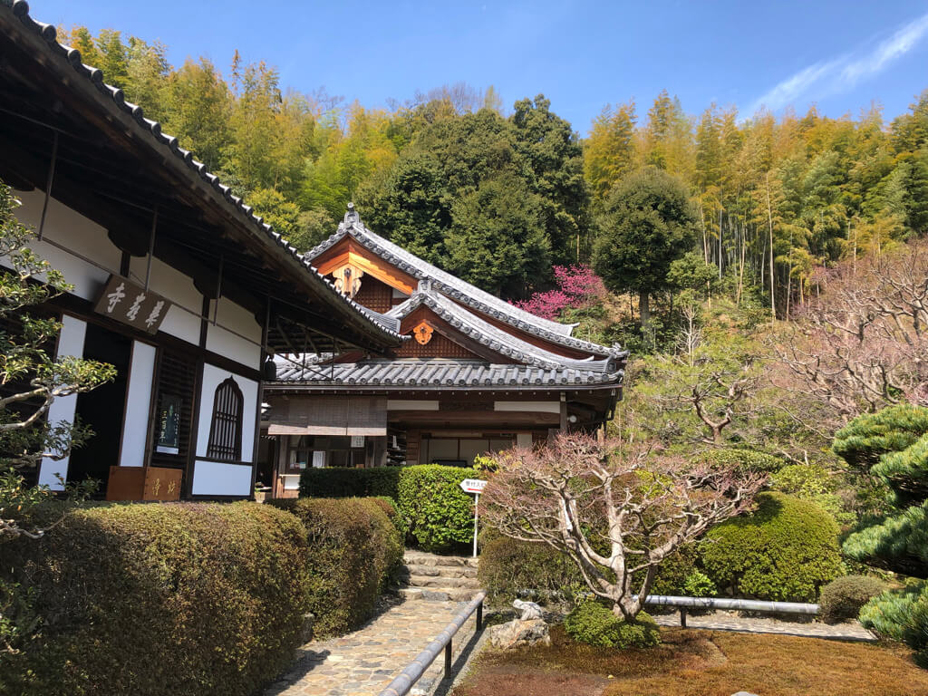願い事が叶うと有名なパワースポット鈴虫寺へ行ってきました〜!願い事は叶うのかを検証 8 鈴虫寺 願い事 叶う 叶わない お守り アクセス 説法 行き方