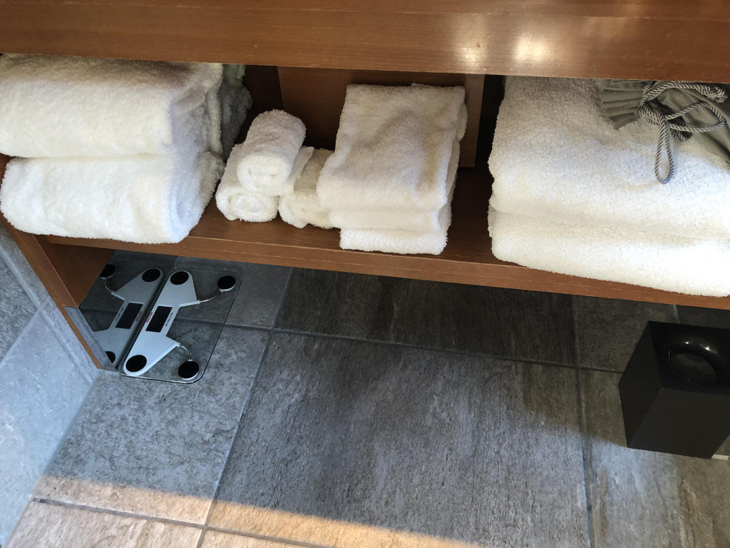 翠嵐ラグジュアリーコレクションホテル京都　口コミ　ブログ　朝食　人力車　シャンパンディライト　プラチナ特典　子連れ