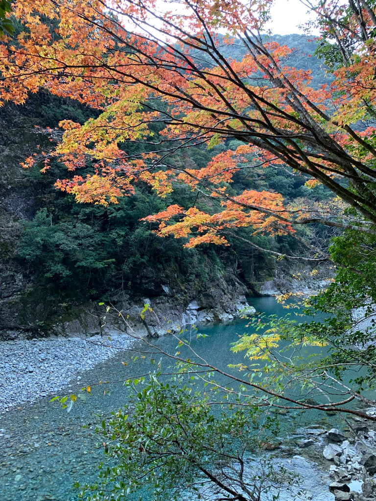 フェアフィールド三重おおだい　子連れ　宿泊記　大谷杉　登山　子供