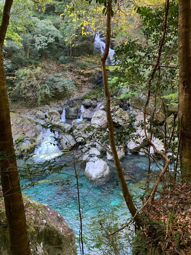 フェアフィールド三重おおだい　子連れ　宿泊記　大谷杉　登山　子供
