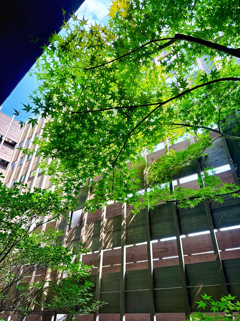 アズミ瀬戸田　AzumiSetoda　宿泊記　ブログ　アメニティ　アクセス　食事　朝食　