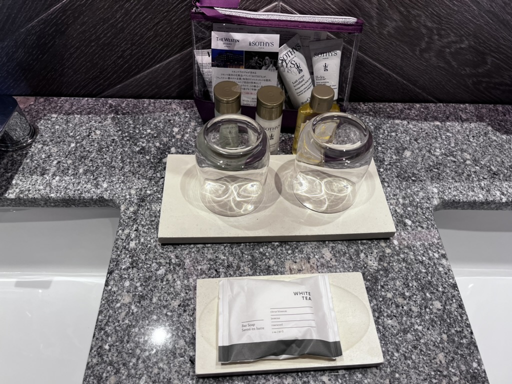 ウェスティン都ホテル京都スイート宿泊記★大人の高級アミューズメントホテルと言ったらココでしょ!な大好きなホテル 28 ウェスティン京都 プラチナ プール