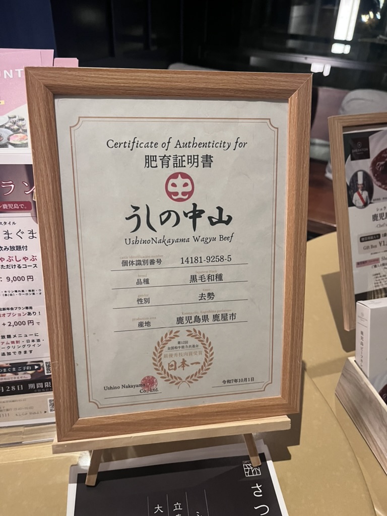 シェラトン鹿児島　朝食　料金　ディナー　ビュッフェ