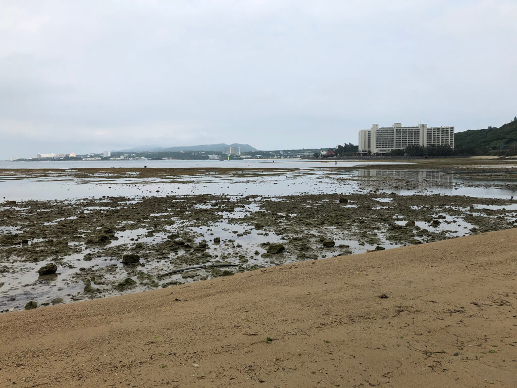 ルネッサンスリゾートオキナワ　　宿泊記　アクティビティ　体験　子連れ　マリブビーチ　磯遊び