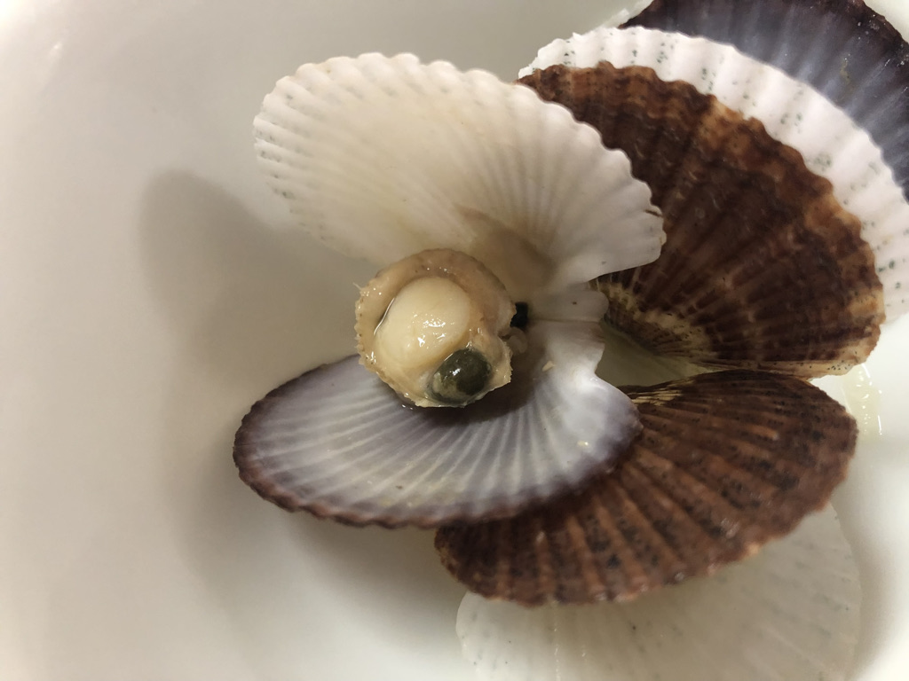 北海道　おすすめ　グルメ　スイーツ　海鮮　ラーメン