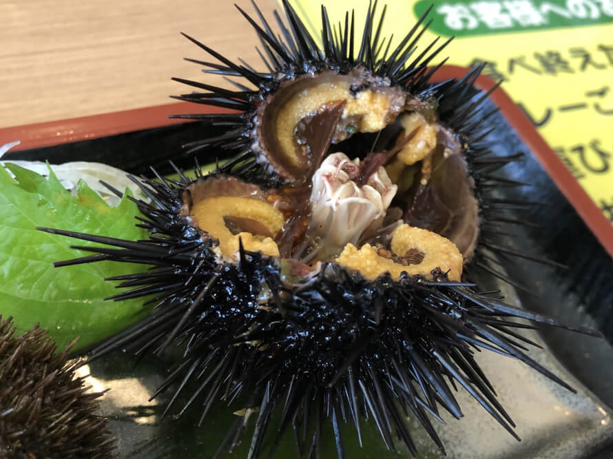 北海道グルメレビュー☆グーグル評価4以上のお店をぶった斬り!本当に美味しいのはこのお店 98 北海道 グルメ レビュー グーグル評価 高い 美味しい 海鮮 スイーツ お土産