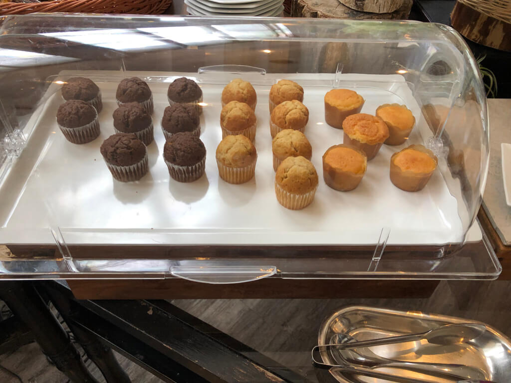 琵琶湖マリオット子連れ宿泊記☆久々の宿泊はちょっと様変わり!?滋賀の旅行支援しが周遊クーポンが激アツ♪ 102 琵琶湖マリオット 宿泊記 ブログ 子連れ 体育館 朝食 プール ラウンジ マリオットボンヴォイアメックス 紹介 プラチナ特典 ゴールド特典 子供添い寝無料